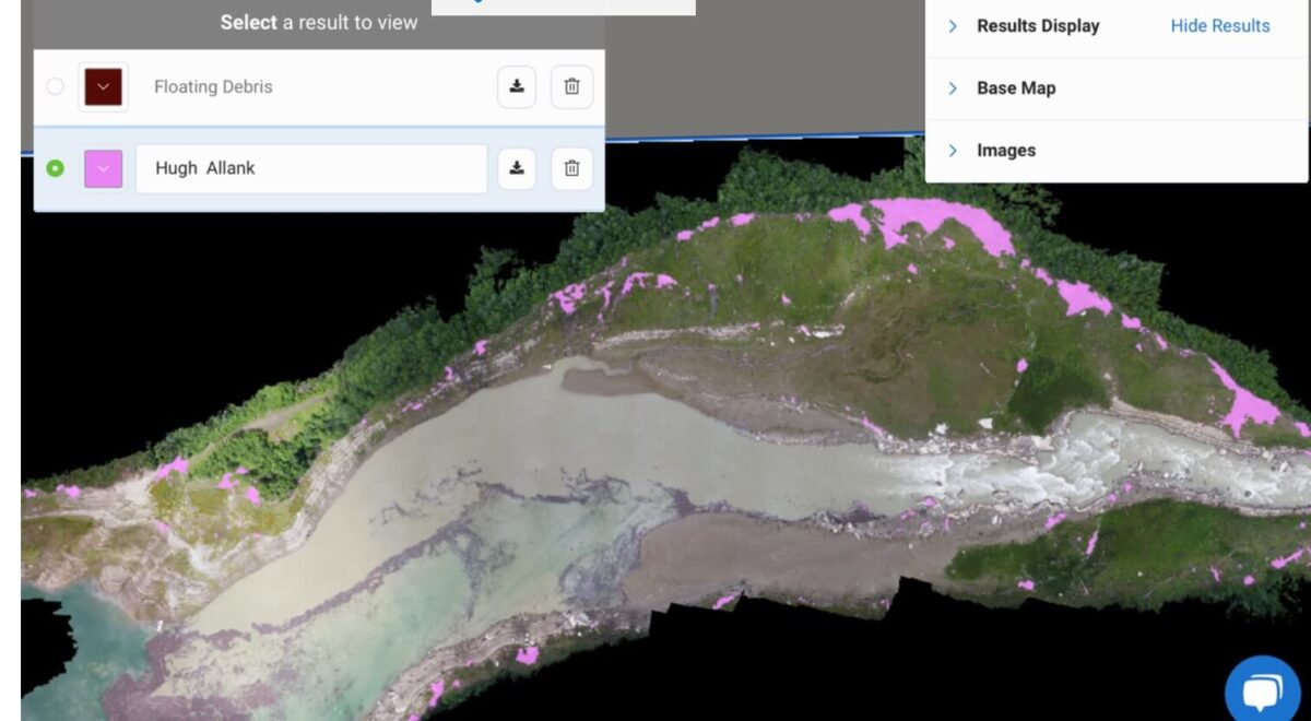 A screenshot of the Picterra platform, delineating areas of detected landed woody debris as pink polygons.