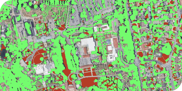 Vegetation cover - green spaces mapping (grass, parks, gardens, tree canopies)